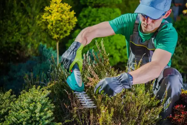 landscaping services Westbrook